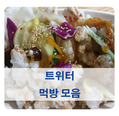  [먹방] 개인 트위터 계정에 올렸던 먹방들 모아봤어요 