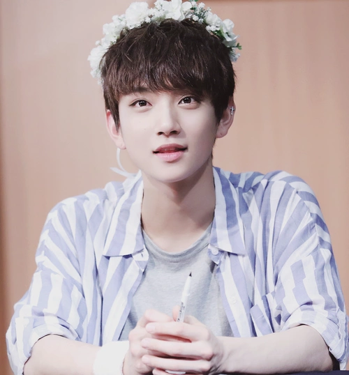 SEVENTEEN Joshua (Hong Jisoo) High-Quality Photo Collection and GIFs