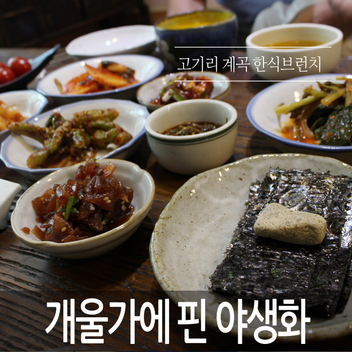  고기리맛집.. 멋이 가득한 개울가에 핀 야생화.. 바람쐬러 다녀온 고기리계곡..