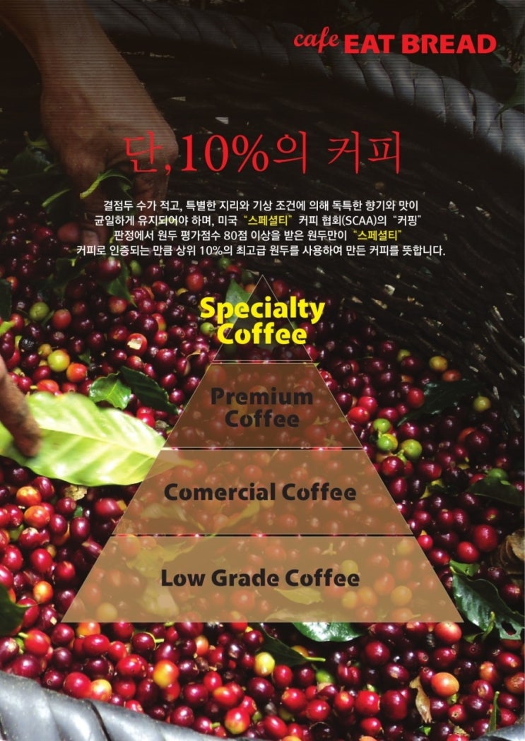  [제주 공항근처 맛집] 스페셜티 커피가 뭐예요?