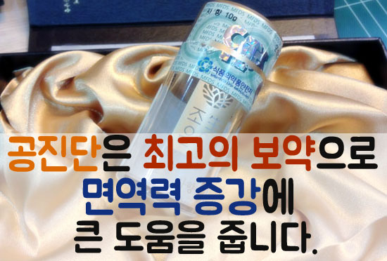  자인한의원>인천메르스/면역력 증진/최고의 보약 공진단/사향 공진단