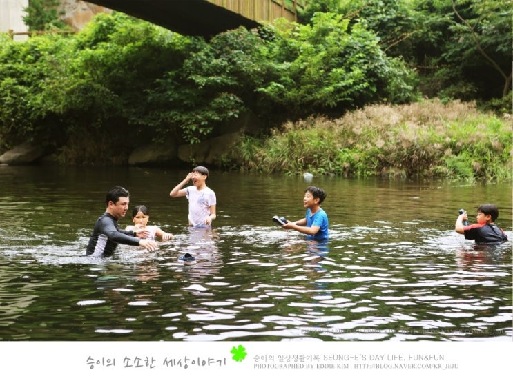  계곡에서 신나는 수영! Goodbye Summer!!