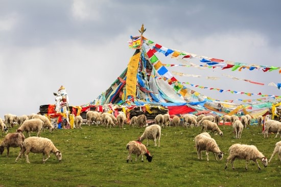 'Tharchog' in Tibet