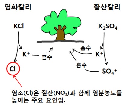 회춘농원 이미지