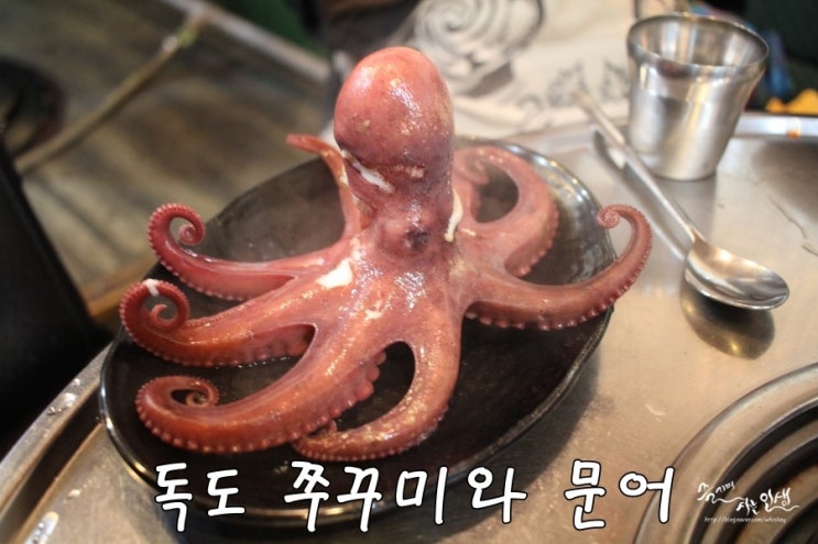  [장한평역 맛집] 장안동 맛집 독도 쭈꾸미와 문어