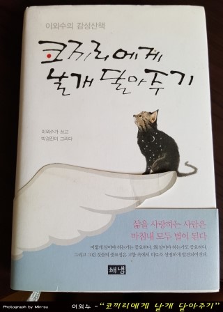  코끼리에게 날개 달아주기 - 이외수