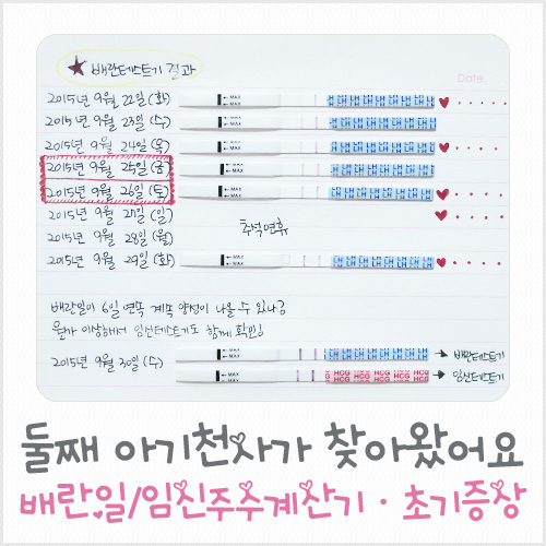 (Tianan Obstetrics and Gynecology) 배란 계산기, 재태 연령 계산기 6