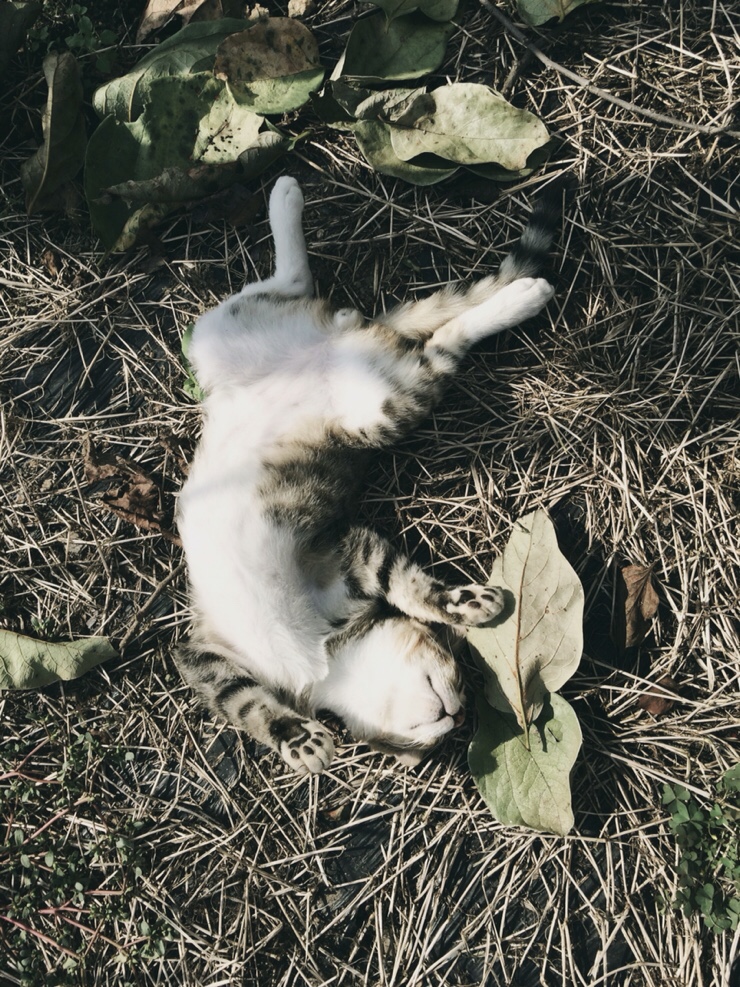  아~ 졸려~