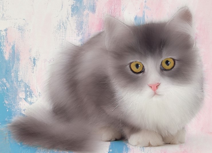 아기고양이리터칭,고양이그림,그림연습,xppen타블렛그림