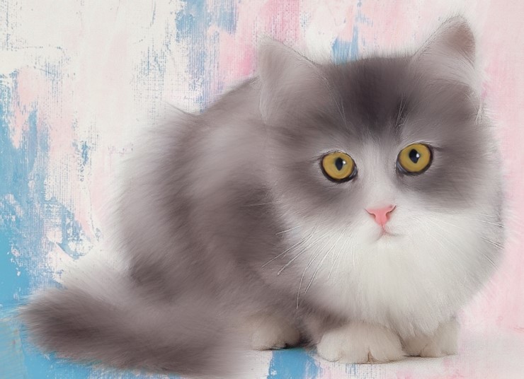  아기고양이리터칭,고양이그림,그림연습,xppen타블렛그림