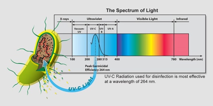  14.2 UVLED 시장 및 동향