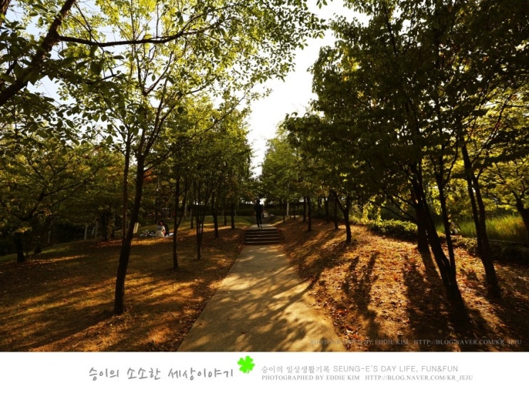  선유도, 가을에 가볼만한 곳! 가을여행지로 추천!