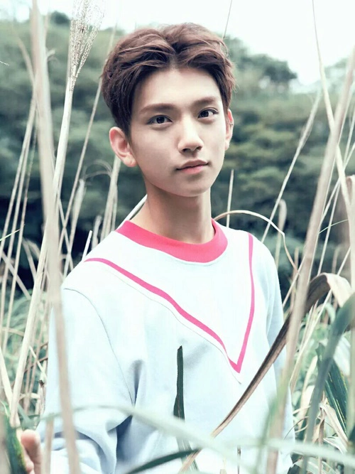 SEVENTEEN Profile Part 3: Joshua (Photos & Gifs)