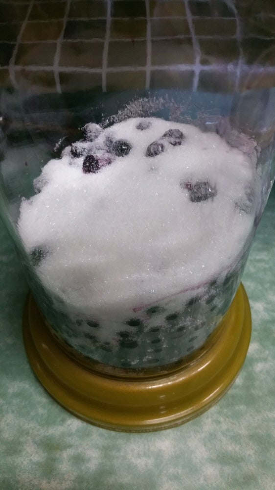 머루주담는법,맛있는 머루주담그기