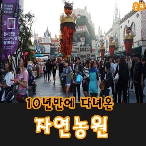 10년만에 에버랜드 다녀왔어요!
