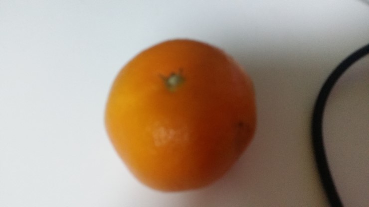  요즘 귤.. 왜이렇게 맛이 없나요?
