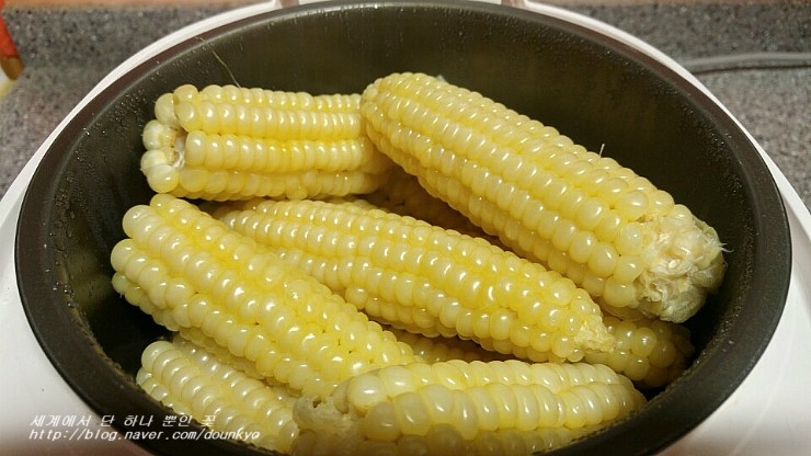  옥수수 수확이 완전히 끝났어요. (とうもろこしの収穫が完全に終わりました。)