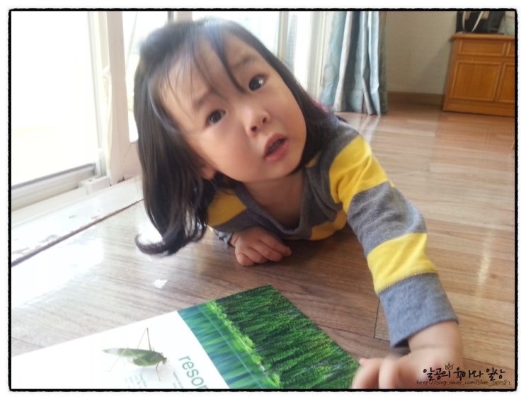 가을곤충 여치와의 만남ㅋㅋ 가을곤충 여치와의 만남ㅋㅋ