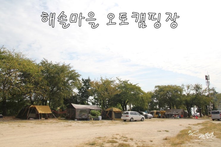  [경기도 화성 캠핑장] 제부도/궁평항 근처 해솔마을오토캠핑장