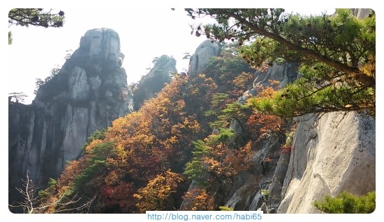  도봉산 단풍 현재 모습