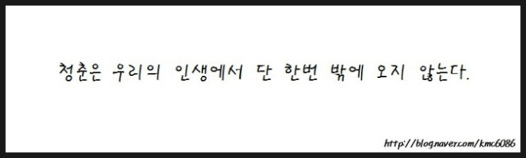  [명언/좋은글귀] 인생에서 한번 밖에 없는 청춘!! 즐겨라!!