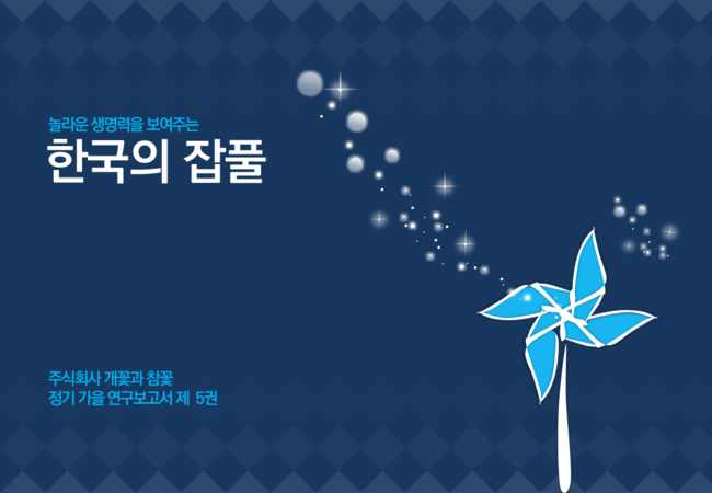  [회사소개서 ppt 제작 알바/ 보고서 , 제안서 ppt 디자인, 발표용, 강의용 피피티 제작] 파워포인트 바람개비