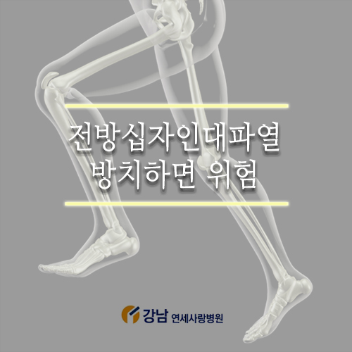 전방십자인대파열 운동을 즐기는 요즘 5