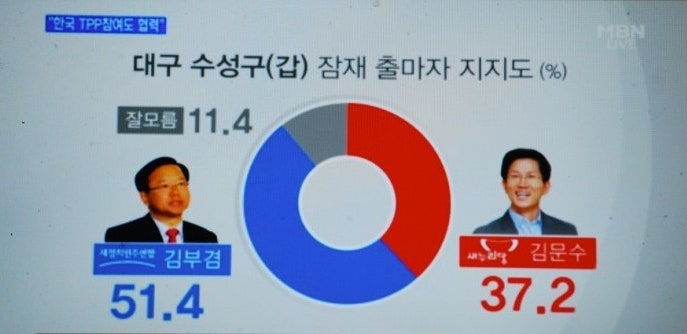 대구 수성갑 김문수대 김부겸의 여론조사 결과.