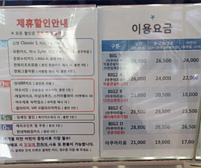  여수 아쿠아플라넷 가격, 벨루가가 넘 귀여워요