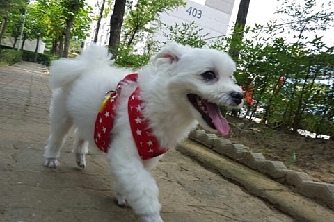 아지트:간지 이미지