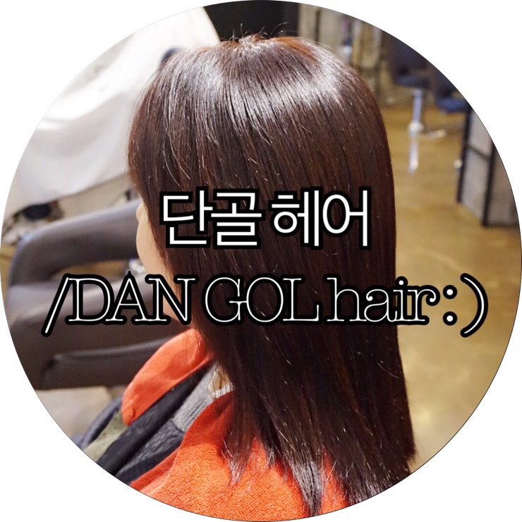  [부산 서면 미용실 추천]서면 염색 싼곳 단골(DANGOL)헤어
