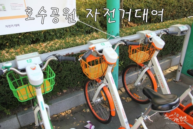  [주말 나들이] 저렴하게 일산 호수공원 자전거 대여해서 즐기기