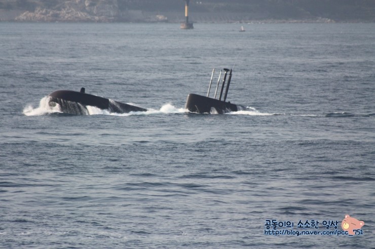 2015 대한민국 <b>해군 관함식</b> - <b>해상사열</b> 이어서...