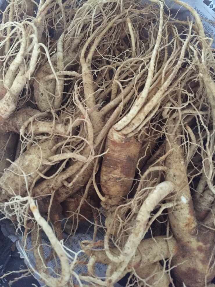  청석마을 공사후 받은 귀한 선물