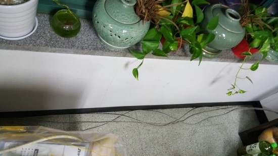  성내동 8회선 랜공사 및 전화 2회선!!!!!!!