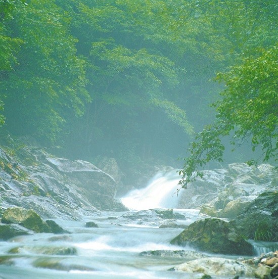  비영리법인, 사단법인의 회비수입이 수익사업인가요?