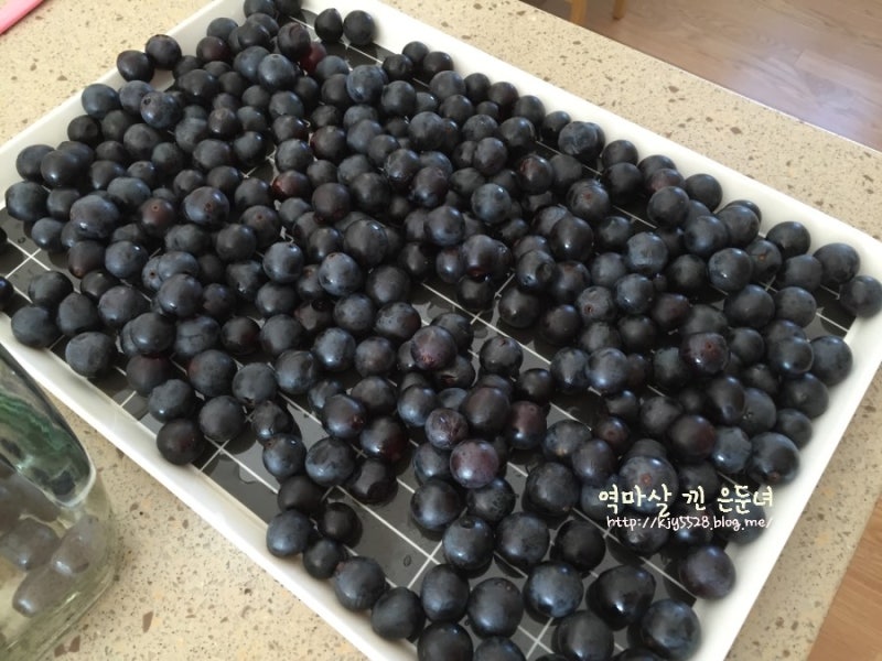 술없이 포도주 담그는 방법