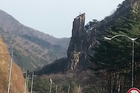 세쌍둥이네가든 이미지