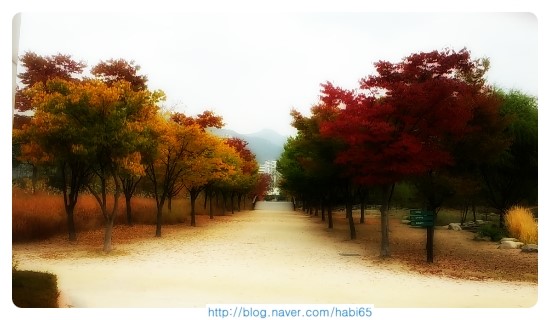  도봉동 창포원 가을 모습~