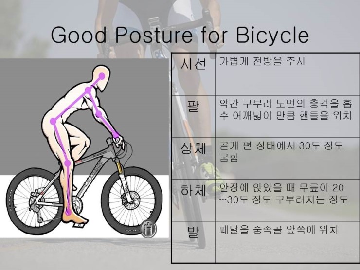 자전거 부상 대비필요성