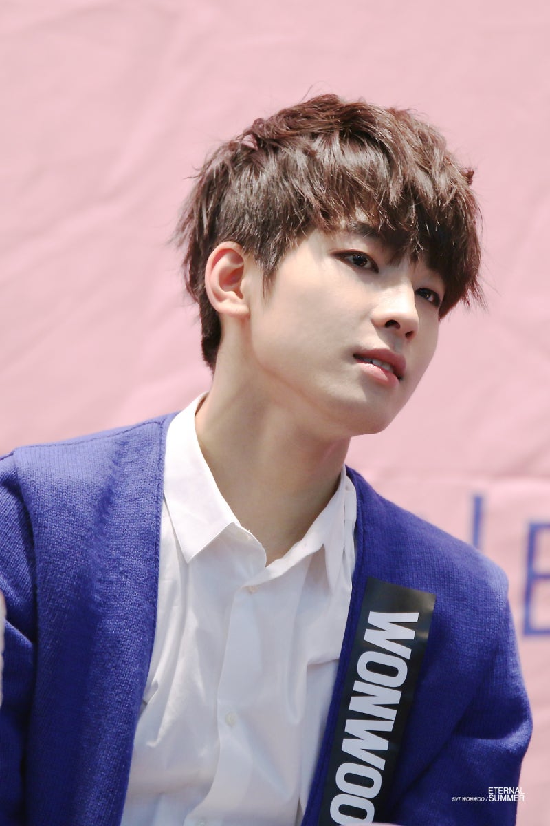 세븐틴 원우 가디건 원우 사진 모음