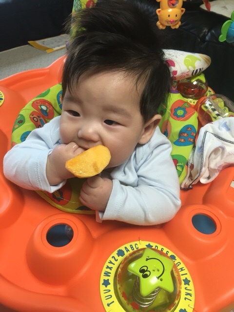  이유식 시작하기.. 어떤 이유식??? (5개월 - 6일전)