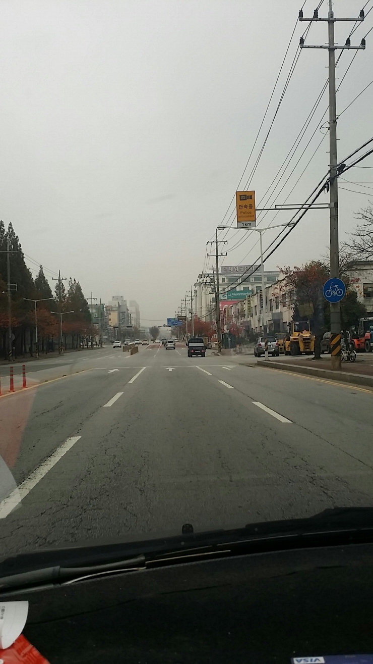  소 닭 고양이 개 와  함깨있는 삶