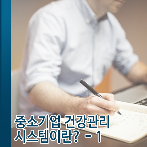  중소기업 건강관리시스템 이란? 1.