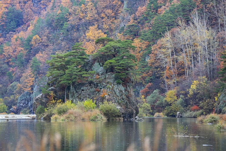  단풍여행가을캠핑 진안용담섬바위산책