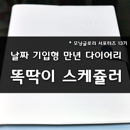  [모닝글로리 서포터즈]날짜기입형 만년 똑딱이 스케줄러/다이어리