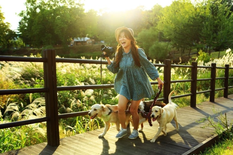 강아지와 함께 사진찍기, 캐논 5D MARK3 오막삼으로 가을촬영