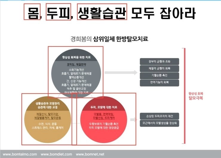 한방탈모 치료방법을 알아보면