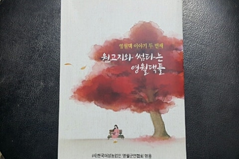 영월댁 이미지