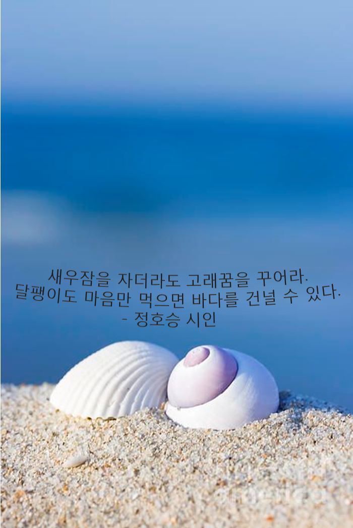  151116 오늘의 명언